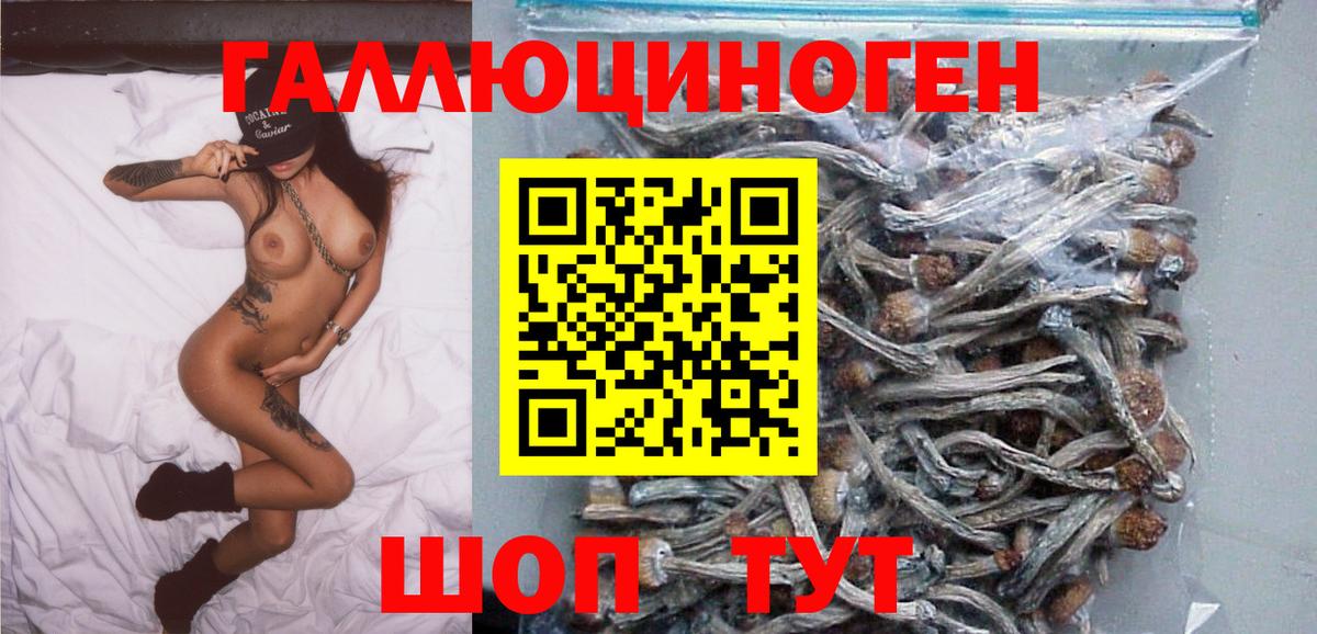 Галлюциногенные грибы GOLDEN TEACHER Димитровград