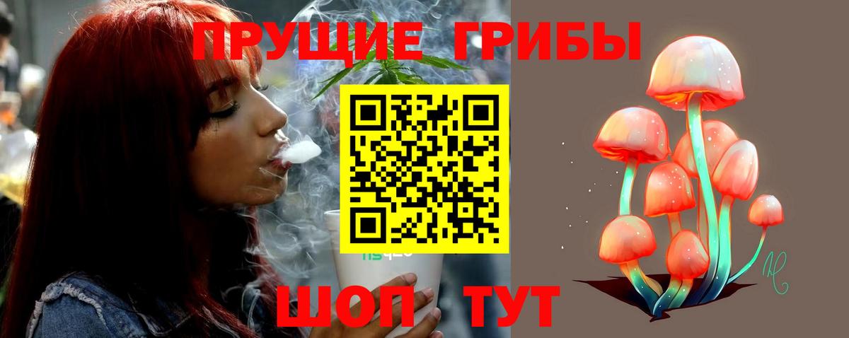 Галлюциногенные грибы MAGIC MUSHROOMS  Вход с VPN  Димитровград  Галлюциногенные грибы прущие грибы 